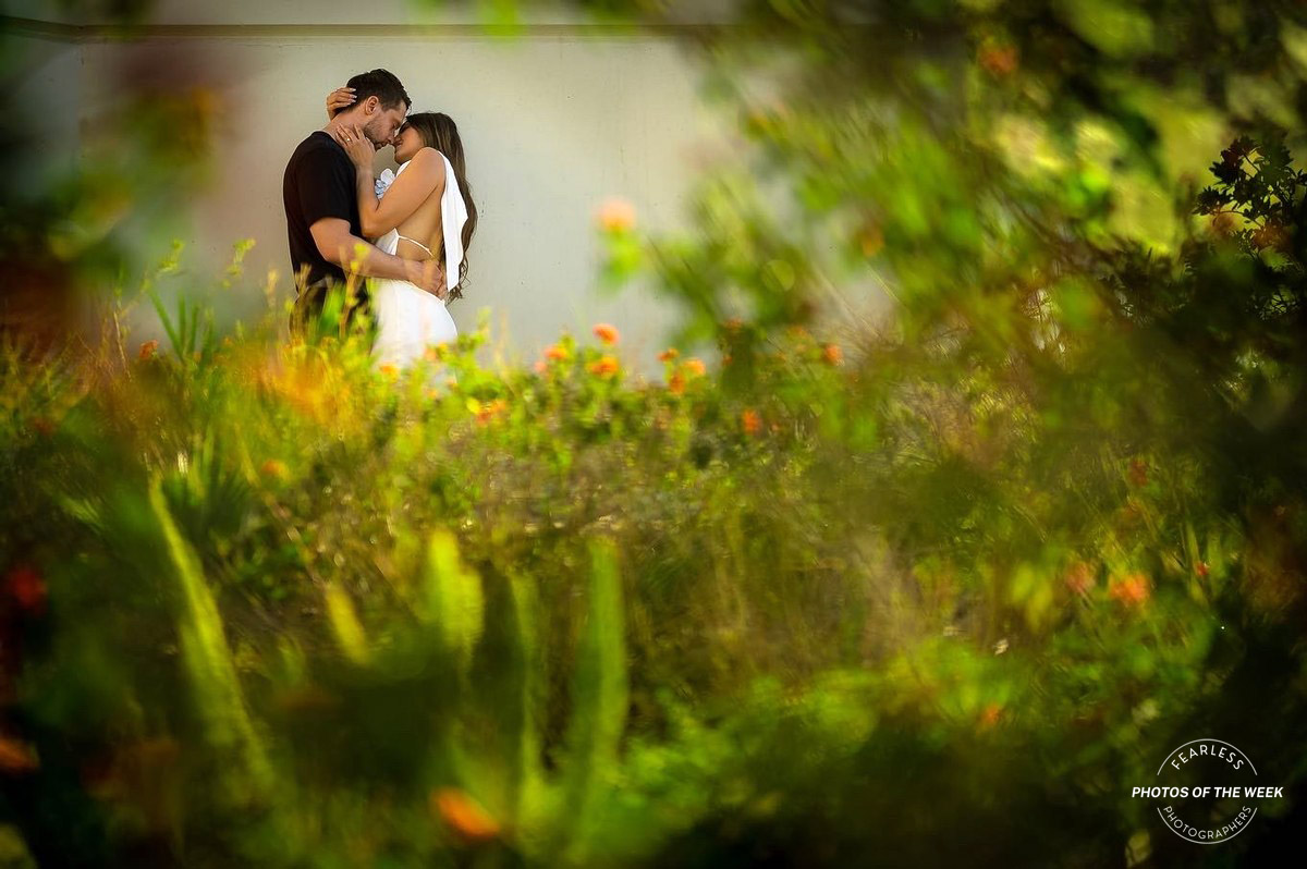 ThomasKim_photography Fearless photographers capturing a bride and groom kissing in a garden.